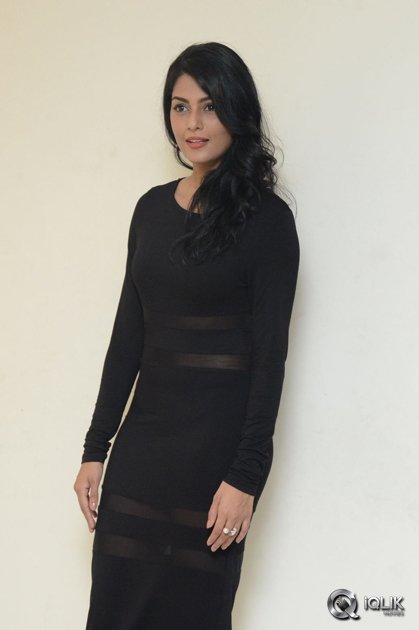 Anisha-Ambrose-at-Run-Movie-Release-Press-Meet
